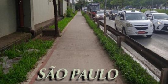 Imagem do grupo de WhatsApp Amizades de São Paulo