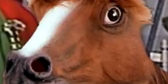 Imagem do grupo de WhatsApp Grupo Pooper👌🏼