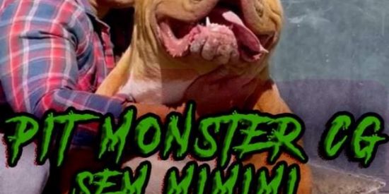 Imagem do grupo de WhatsApp PIT MONSTER  SEM MIMIMI 🦍