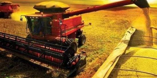 Imagem do grupo de WhatsApp OS BRUTOS DA AGRICULTURA