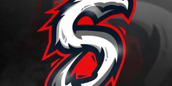 Imagem do grupo de WhatsApp ⚡ [ SL4R ] 𝐅𝐎𝐑𝐓𝐍𝐈𝐓𝐄 𝐂𝐋𝐀𝐍 🇧🇷