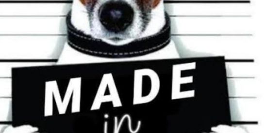 Imagem do grupo de WhatsApp ZUEIRA TOTAL