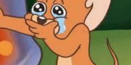 Imagem do grupo de WhatsApp Vem ter um Love 😍💜