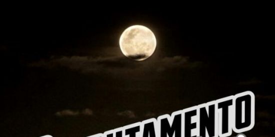 Imagem do grupo de WhatsApp 🌓•TRIAGEN MOON•🌓