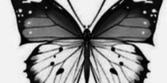 Imagem do grupo de WhatsApp TATTOO INICIANTES