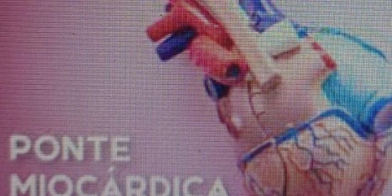 Imagem do grupo de WhatsApp Ponte Miocárdica ❤️
