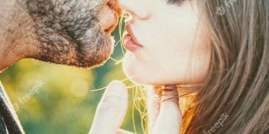 Imagem do grupo de WhatsApp ˙·٠•●♥ Amor Sem Fronteira  ♥●•٠·˙