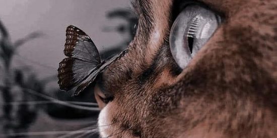 Imagem do grupo de WhatsApp .°•👑🔥𝐈𝐍𝐅𝐈𝐍𝐈𝐓𝐘∞𝐋𝐈𝐆𝐇𝐓𝐍𝐈𝐍𝐆🐣💕•°.