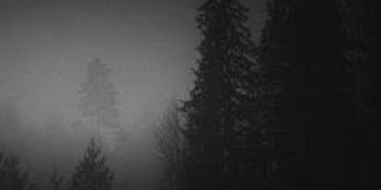 Imagem do grupo de WhatsApp True crime community+assuntos globais