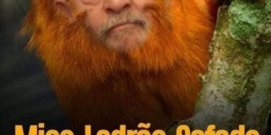 Imagem do grupo de WhatsApp 🥊Amizades e figurinhas🎰