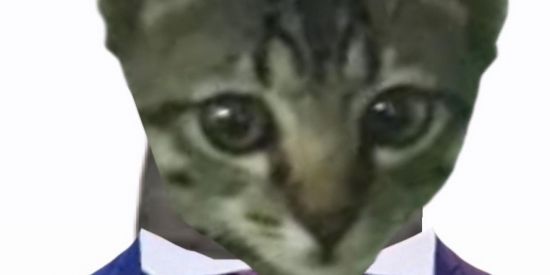 Imagem do grupo de WhatsApp 🐶 IMPÉRIO GREMORY 🐶