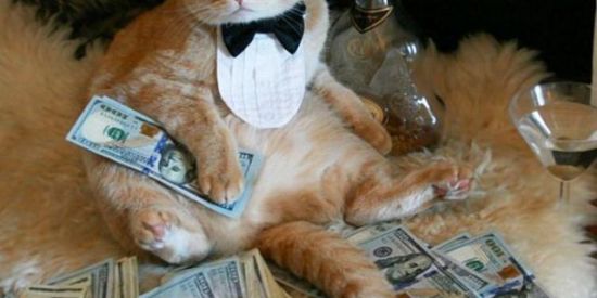 Imagem do grupo de WhatsApp AMIGOS COMPARTILHANDO LINKS