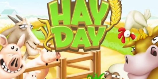 Imagem do grupo de WhatsApp Hay Day is Magic