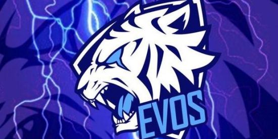 Imagem do grupo de WhatsApp ⚜️ REGRUTAMENTO EVOS SPORTS⚜️