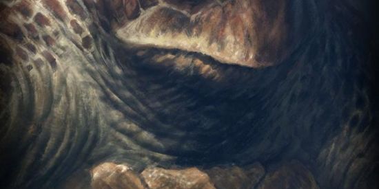 Imagem do grupo de WhatsApp Ⓟⓤⓡⓖⓐⓣⓞⓡⓘⓞ