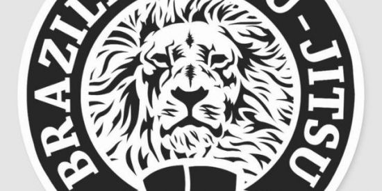 Imagem do grupo de WhatsApp Brazilian Jiu-jitsu 🥋🇧🇷