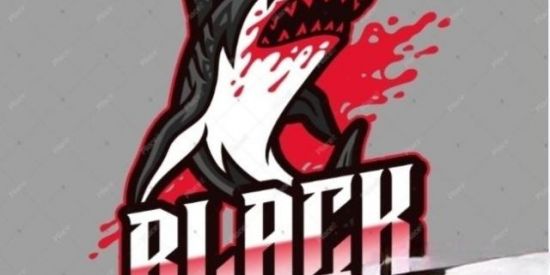 Imagem do grupo de WhatsApp BLACK SHARK RECRUTAMENTO