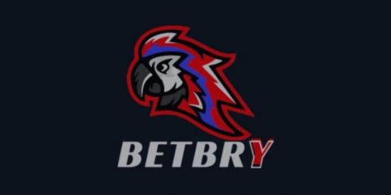 Imagem do grupo de WhatsApp ROBÔS DA BETBRY💯