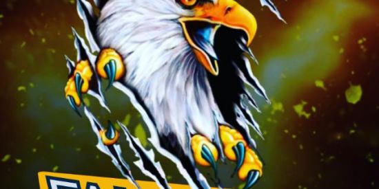 Imagem do grupo de WhatsApp FALCONS FF (RECRUTAMENTO ABERTO)