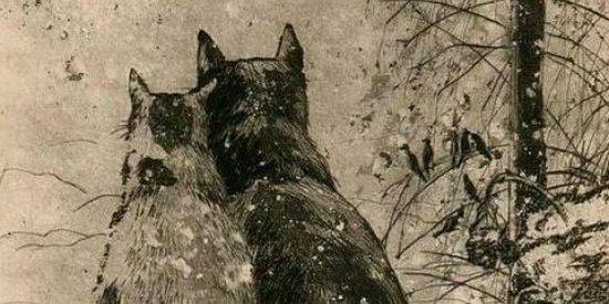 Imagem do grupo de WhatsApp Divulgações