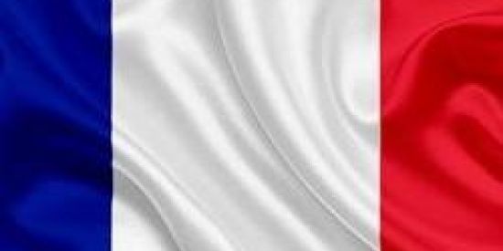 Imagem do grupo de WhatsApp TROPA DA FRANÇA RP