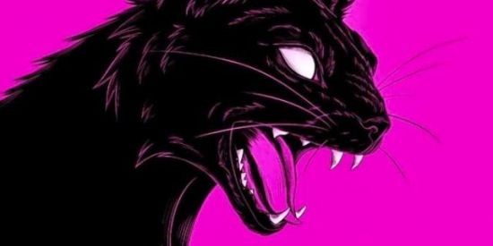 Imagem do grupo de WhatsApp Triagem 🔥