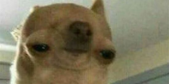 Imagem do grupo de WhatsApp ( ͡ʘ ͜ʖ ͡ʘ)ㄥ口Vモㄗ口尺れ👌🏿