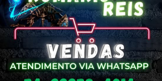 Imagem do grupo de WhatsApp ROMARIO REIS-RV MUAWAY ⚔️🛡️