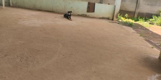 Imagem do grupo de WhatsApp Vaquinha solidária