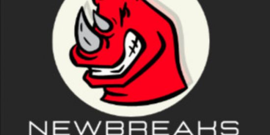 Imagem do grupo de WhatsApp 🦏NEW BREAKS COMMUNITY⚡