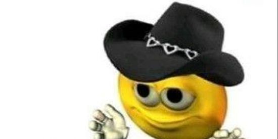 Imagem do grupo de WhatsApp calma boi