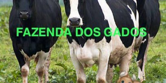 Imagem do grupo de WhatsApp 𝗙𝗔𝗭𝗘𝗡𝗗𝗔 𝗗𝗢𝗦 𝗚𝗔𝗗𝗢𝗦