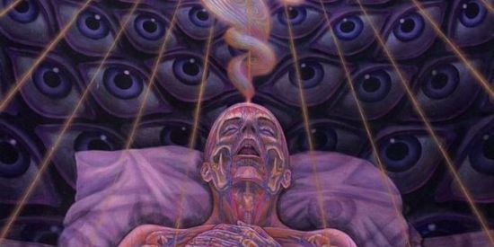 Imagem do grupo de WhatsApp ANIME VERSE🦉