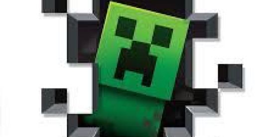 Imagem do grupo de WhatsApp Família Craft ON