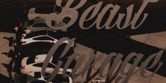 Imagem do grupo de WhatsApp BEAST GARAGE RCT