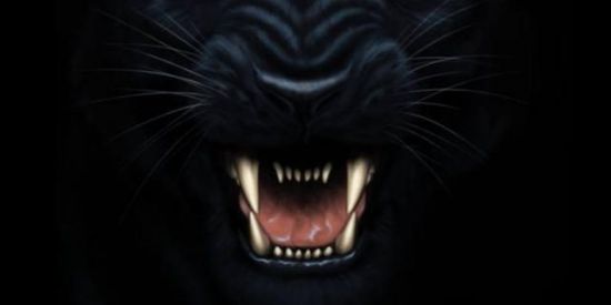 Imagem do grupo de WhatsApp PUMA GAMING