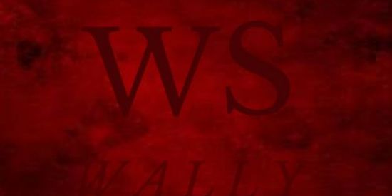 Imagem do grupo de WhatsApp Campeonato Wally Sports