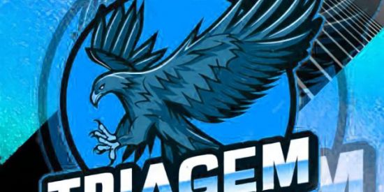 Imagem do grupo de WhatsApp 『🔥』|•TRIAGEM BNL•|『🔥』