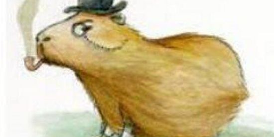 Imagem do grupo de WhatsApp Chapola celta vermelho 🚗