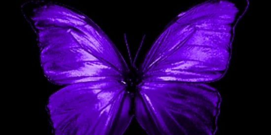 Imagem do grupo de WhatsApp Top follow🤳🏽🛑