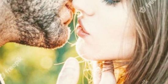 Imagem do grupo de WhatsApp ˙·٠•●♥ Amor Sem Fronteira  ♥●•٠·˙