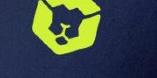 Imagem do grupo de WhatsApp Plataforma IIlion☘️☘️