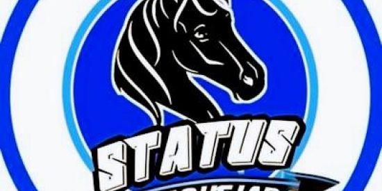 Imagem do grupo de WhatsApp STATUS DE VAQUEJADA