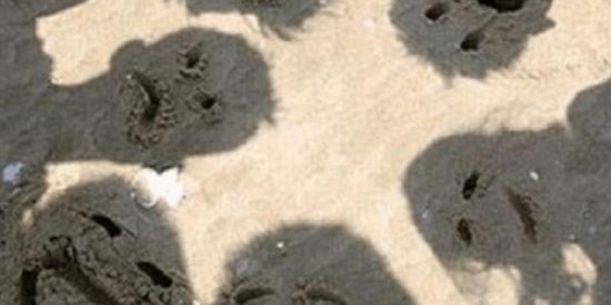 Imagem do grupo de WhatsApp 👯 ‍𝐅𝐫𝐢𝐞𝐧𝐝𝐬 𝐁𝐞𝐬𝐭 👯🏾‍♂️