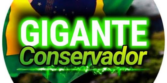 Imagem do grupo de WhatsApp CONSERVADORES BR !🇧🇷