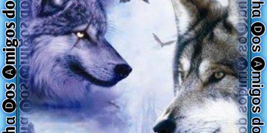 Imagem do grupo de WhatsApp ŘEŞE₦Ҥλ ÐØŞ λMłGØŞ ÐØ ŁØBØ 💥💥💥