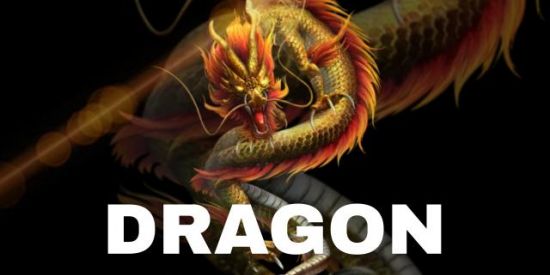 Imagem do grupo de WhatsApp Dragão LEAGUE 🏆