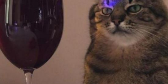 Imagem do grupo de WhatsApp ♦️ 𝕭𝖑𝖆𝖈𝖐 𝖈𝖍𝖆𝖙 v1♦️