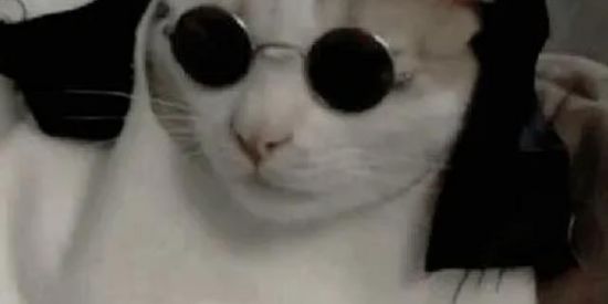 Imagem do grupo de WhatsApp 🎢🎡のultime zueira nimeted✌ㄗロびムロ🍏🪂