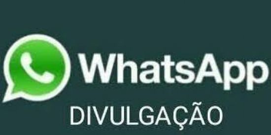 Imagem do grupo de WhatsApp Divulgação